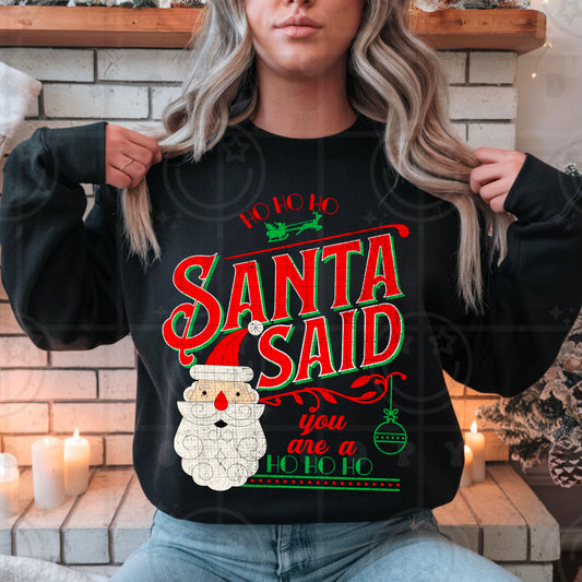 Santa Said you are a Ho