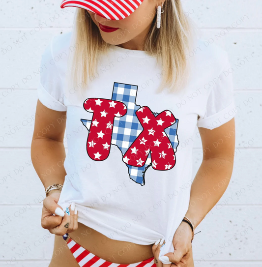 Gingham Stars Red White and Blue State