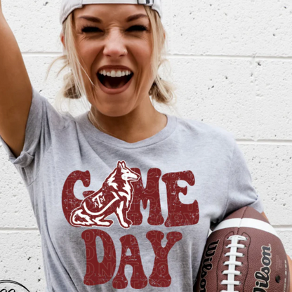 Vintage College Game Day (Multiple Teams Avail)