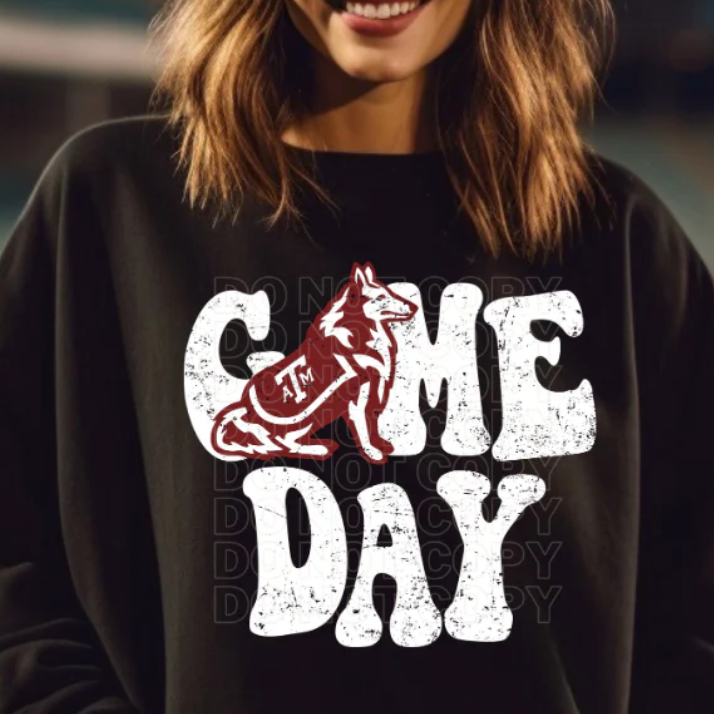 Vintage College Game Day (Multiple Teams Avail)