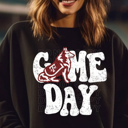 Vintage College Game Day (Multiple Teams Avail)